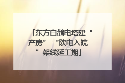 东方白鹳电塔建“产房” “陕电入皖”架线延工期