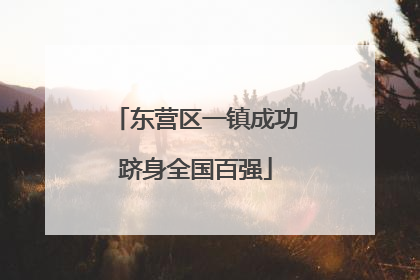 东营区一镇成功跻身全国百强