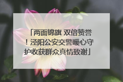 两面锦旗 双倍赞誉！泾阳公安交警暖心守护收获群众真情致谢