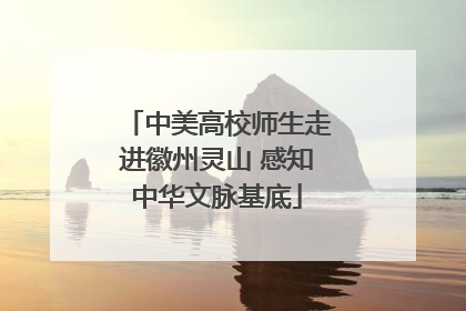 中美高校师生走进徽州灵山 感知中华文脉基底