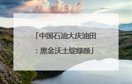 中国石油大庆油田：黑金沃土绽绿颜