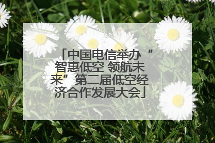 中国电信举办“智惠低空 领航未来”第二届低空经济合作发展大会