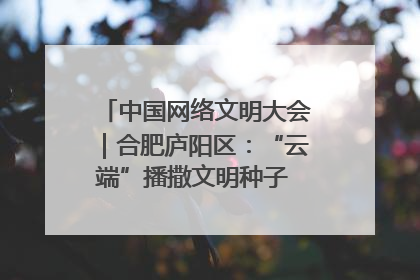 中国网络文明大会｜合肥庐阳区：“云端”播撒文明种子 共建清朗网络空间