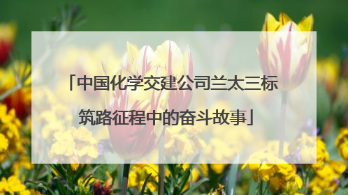中国化学交建公司兰太三标 筑路征程中的奋斗故事