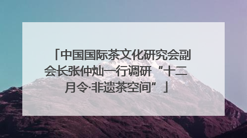 中国国际茶文化研究会副会长张仲灿一行调研“十二月令·非遗茶空间”