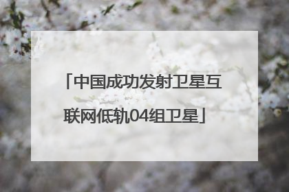 中国成功发射卫星互联网低轨04组卫星