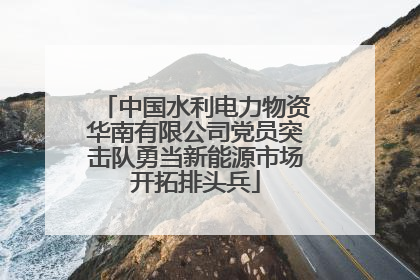 中国水利电力物资华南有限公司党员突击队勇当新能源市场开拓排头兵