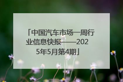 中国汽车市场一周行业信息快报——2025年5月第4期