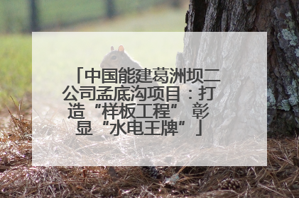 中国能建葛洲坝二公司孟底沟项目：打造“样板工程” 彰显“水电王牌”