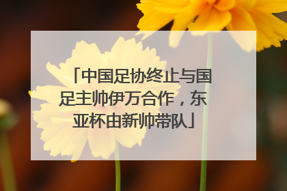 中国足协终止与国足主帅伊万合作，东亚杯由新帅带队