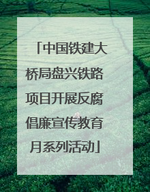 中国铁建大桥局盘兴铁路项目开展反腐倡廉宣传教育月系列活动