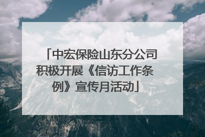 中宏保险山东分公司积极开展《信访工作条例》宣传月活动