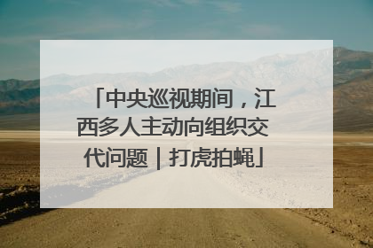 中央巡视期间，江西多人主动向组织交代问题｜打虎拍蝇