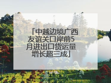 中越边境广西友谊关口岸前5月进出口货运量增长超三成
