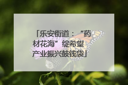 乐安街道：“药材花海”绽希望 产业振兴鼓钱袋