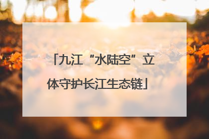 九江“水陆空”立体守护长江生态链