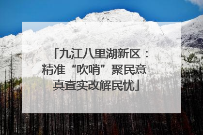 九江八里湖新区：精准“吹哨”聚民意 真查实改解民忧