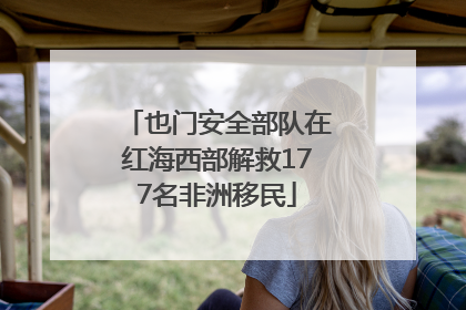 也门安全部队在红海西部解救177名非洲移民