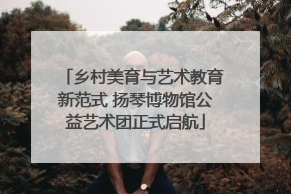 乡村美育与艺术教育新范式 扬琴博物馆公益艺术团正式启航