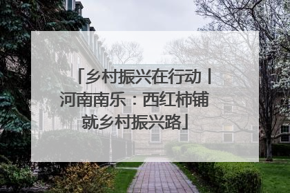 乡村振兴在行动丨河南南乐：西红柿铺就乡村振兴路