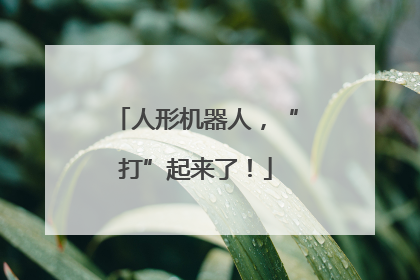 人形机器人，“打”起来了！