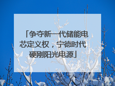 争夺新一代储能电芯定义权，宁德时代硬刚阳光电源