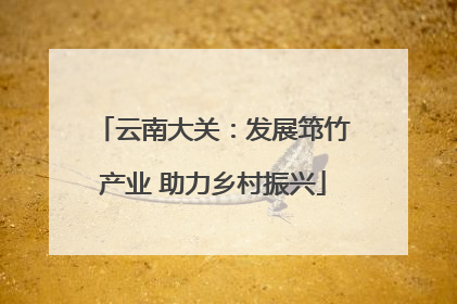 云南大关：发展筇竹产业 助力乡村振兴
