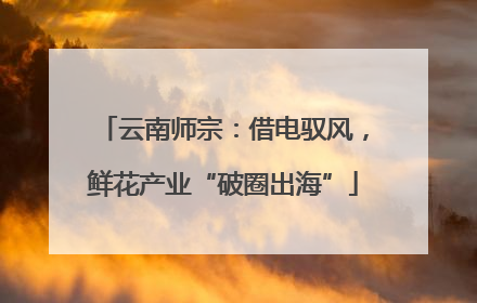 云南师宗：借电驭风，鲜花产业“破圈出海”
