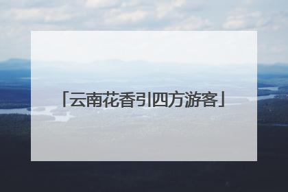 云南花香引四方游客