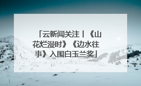 云新闻关注丨《山花烂漫时》《边水往事》入围白玉兰奖