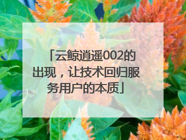 云鲸逍遥002的出现，让技术回归服务用户的本质