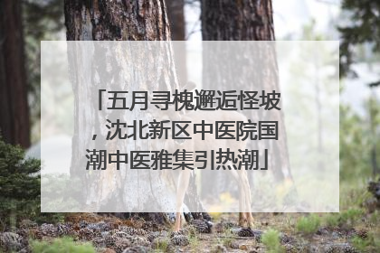 五月寻槐邂逅怪坡，沈北新区中医院国潮中医雅集引热潮