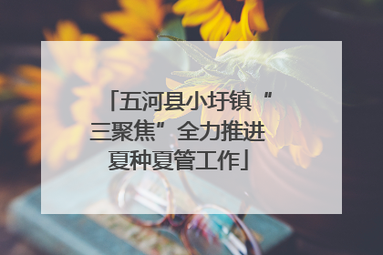 五河县小圩镇“三聚焦”全力推进夏种夏管工作
