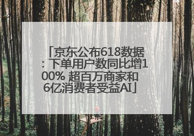 京东公布618数据：下单用户数同比增100% 超百万商家和6亿消费者受益AI