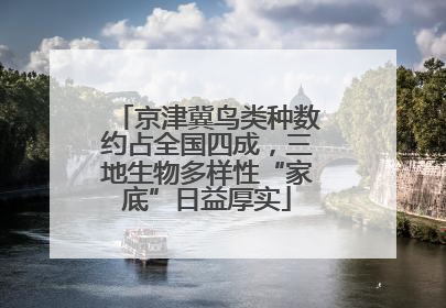 京津冀鸟类种数约占全国四成，三地生物多样性“家底”日益厚实