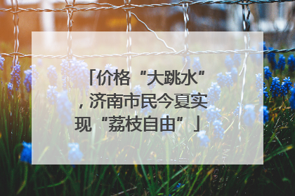 价格“大跳水”，济南市民今夏实现“荔枝自由”