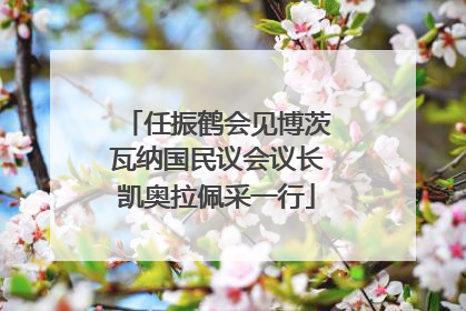 任振鹤会见博茨瓦纳国民议会议长凯奥拉佩采一行