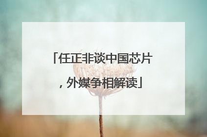 任正非谈中国芯片，外媒争相解读