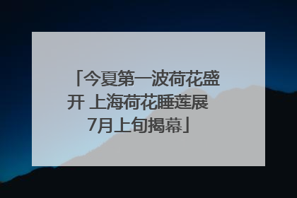 今夏第一波荷花盛开 上海荷花睡莲展7月上旬揭幕