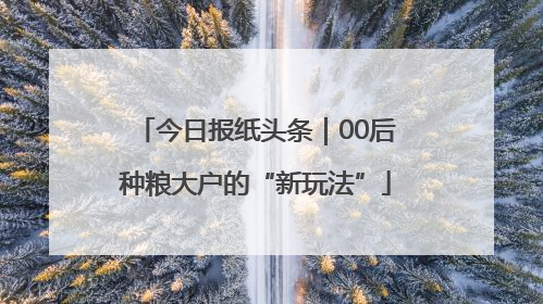 今日报纸头条｜00后种粮大户的“新玩法”