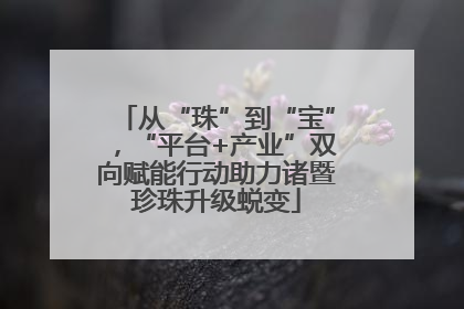 从“珠”到“宝”，“平台+产业”双向赋能行动助力诸暨珍珠升级蜕变