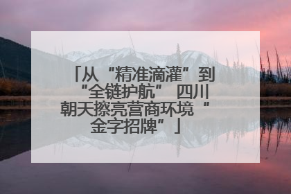 从“精准滴灌”到“全链护航” 四川朝天擦亮营商环境“金字招牌”
