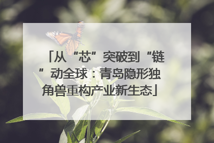 从“芯”突破到“链”动全球：青岛隐形独角兽重构产业新生态
