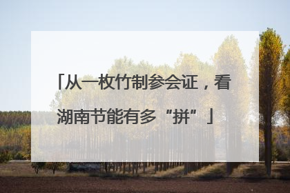 从一枚竹制参会证，看湖南节能有多“拼”