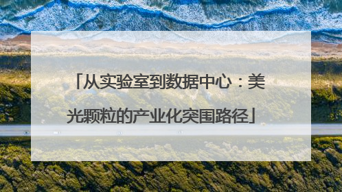 从实验室到数据中心：美光颗粒的产业化突围路径