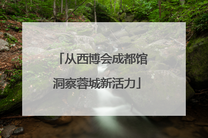 从西博会成都馆洞察蓉城新活力