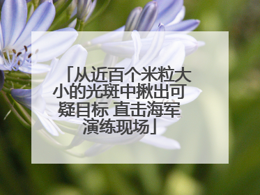 从近百个米粒大小的光斑中揪出可疑目标 直击海军演练现场