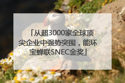 从超3000家全球顶尖企业中强势突围，能环宝蝉联SNEC金奖