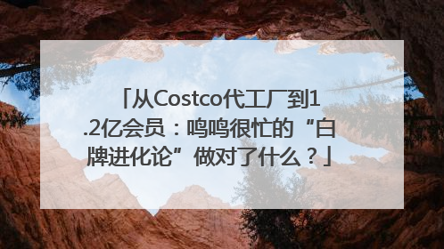 从Costco代工厂到1.2亿会员：鸣鸣很忙的“白牌进化论”做对了什么？