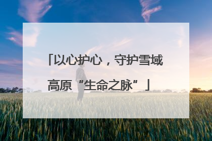 以心护心，守护雪域高原“生命之脉”